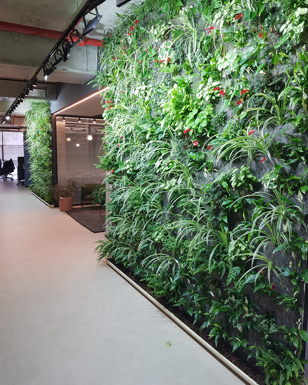 תאורה מעוצבת בקיר ירוק במשרדי חברה